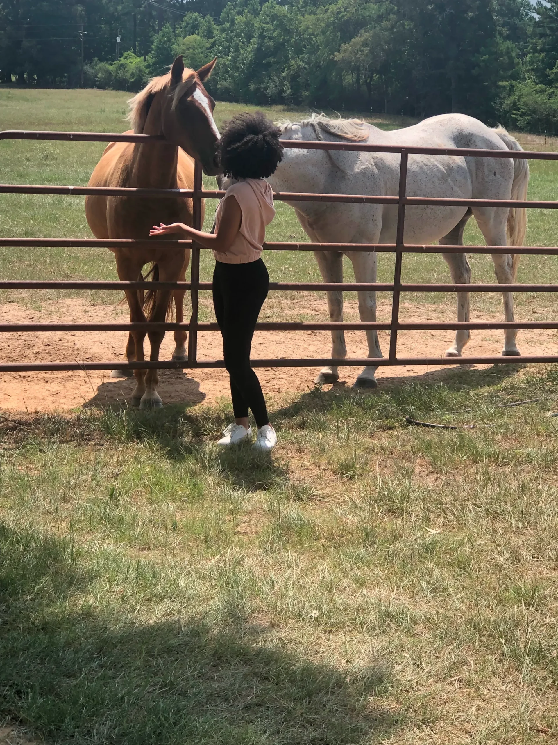 67994166993 3939CDF3 1847 42B3 BB4A C515CEADCEBD copy 1 scaled