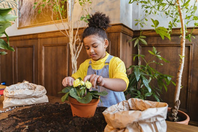 A young girl carefully planting flowers in a pot.